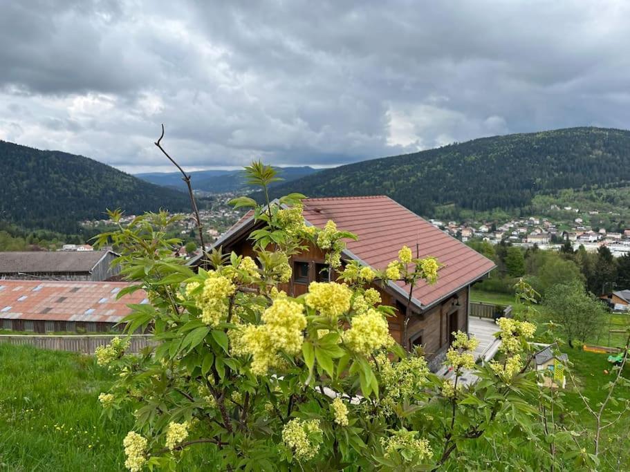 Chalet 3 Etoiles A Gerardmer. Gérardmer Exterior foto