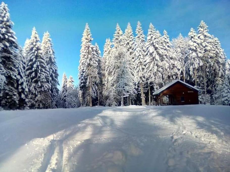 Chalet 3 Etoiles A Gerardmer. Gérardmer Exterior foto