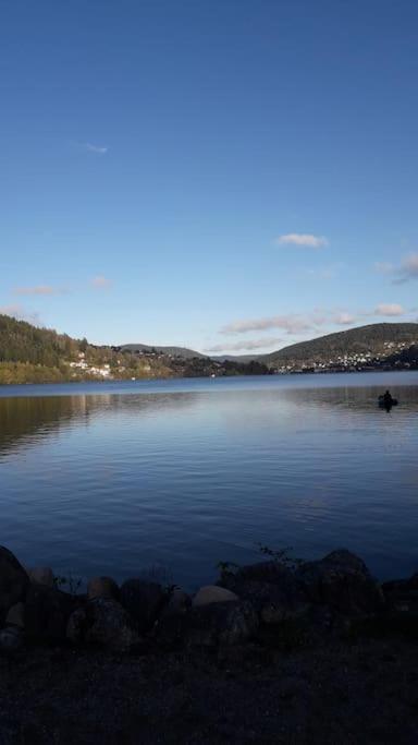 Chalet 3 Etoiles A Gerardmer. Gérardmer Exterior foto